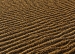sand-ripples